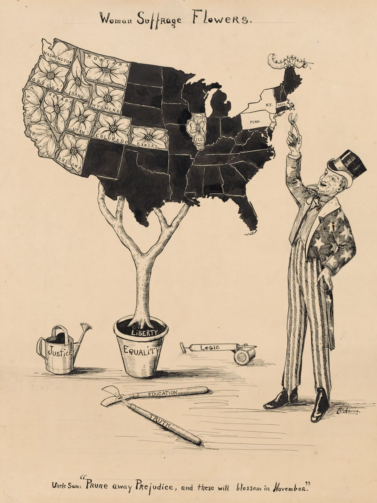 Blanche Ames's 'Women Suffrage Flowers' poster from the 1910s, a pen drawing of a map of the United States growing like a plant