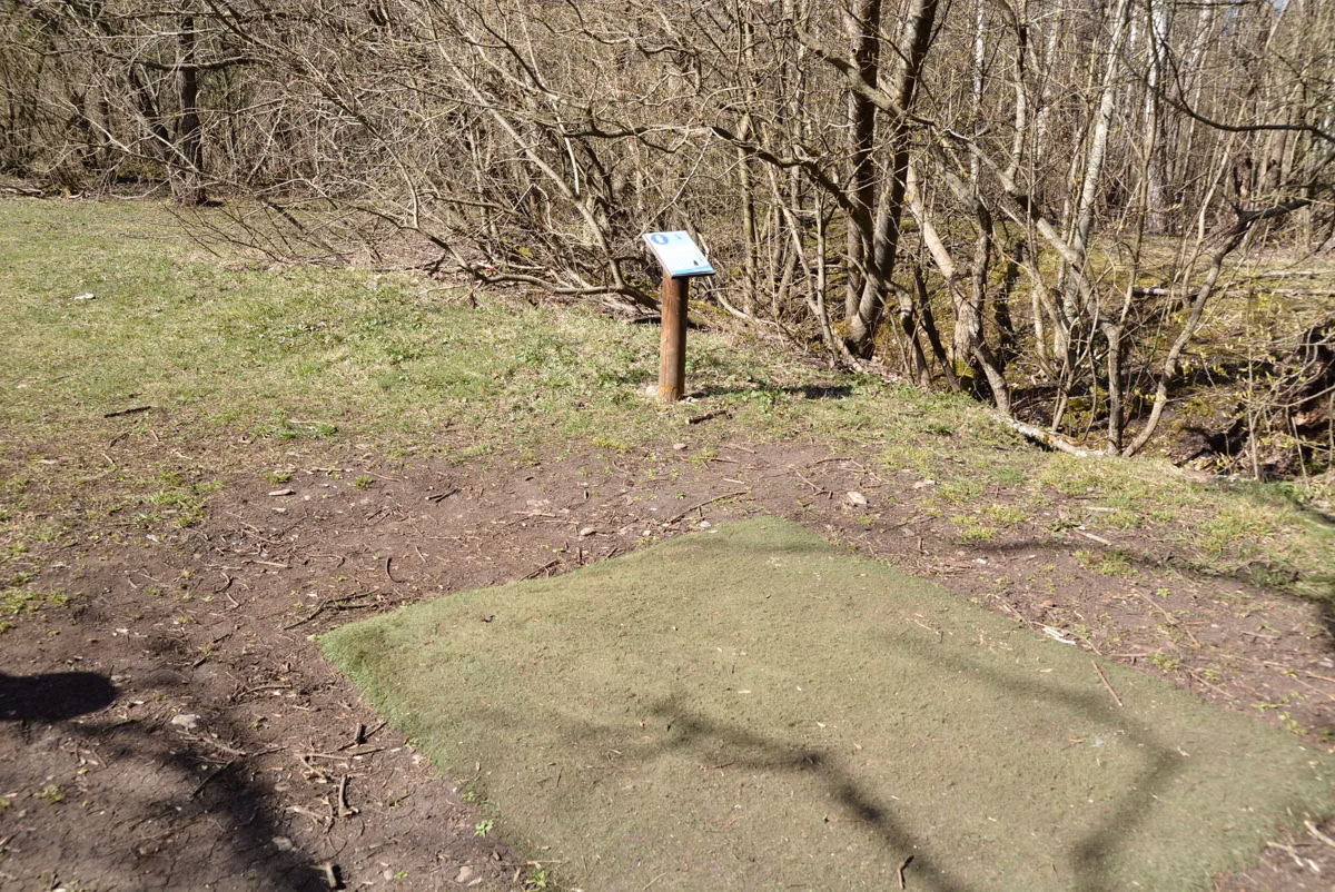 A disc golf tee pad and hole sign at the edge of a wooded field in spring