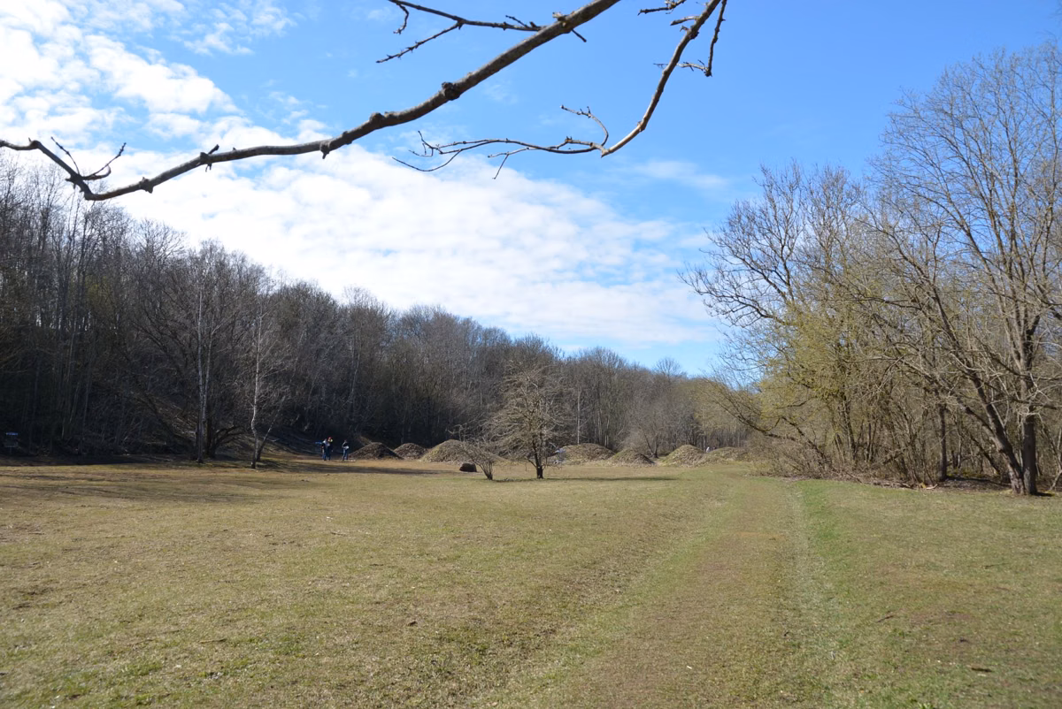 A mown path across an open field edged by bare trees in early spring