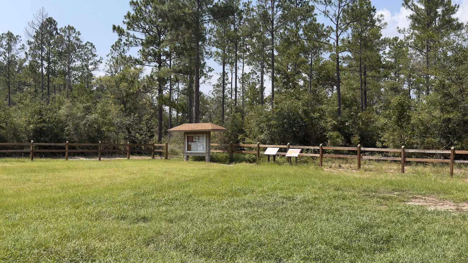 A grassy trailhead with a wooden kiosk and fence at the edge of a pine woods